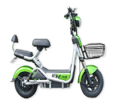 Lead Acid Electric Bike Electric Cargo Bikes